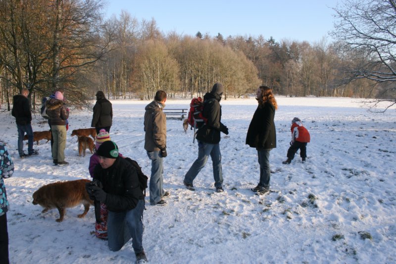 reunienest6december2012016.jpg