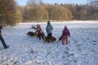 reunienest6december2012019_small.jpg
