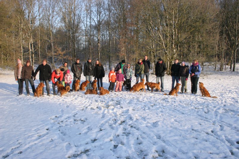 reunienest6december2012025.jpg