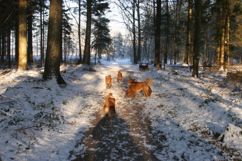 reunienest6december2012033.jpg