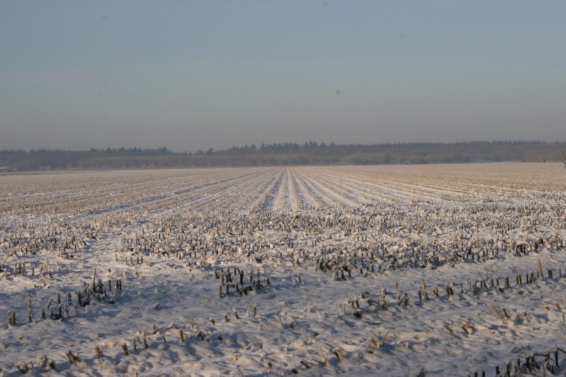 reunienest6december2012034.jpg