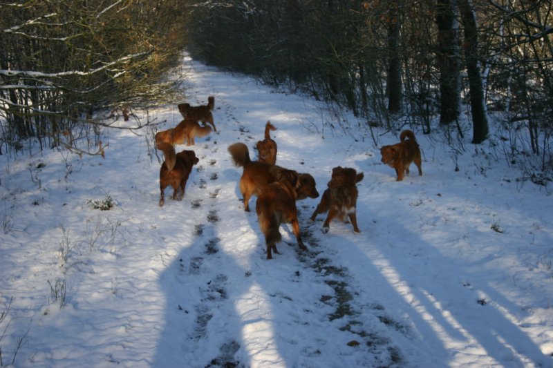 reunienest6december2012043.jpg