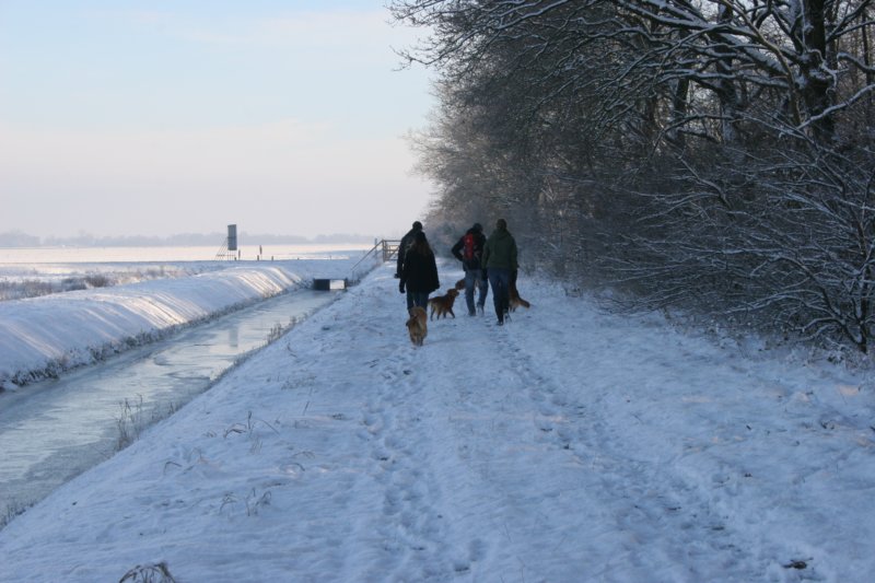 reunienest6december2012047.jpg