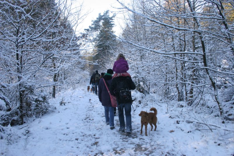 reunienest6december2012052.jpg