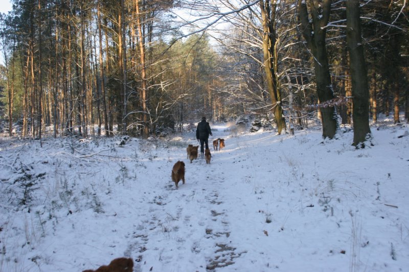 reunienest6december2012053.jpg