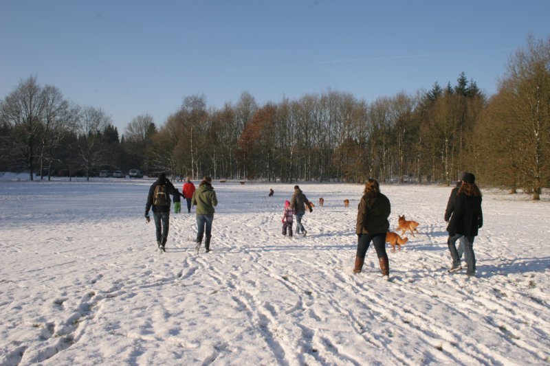 reunienest6december2012059.jpg